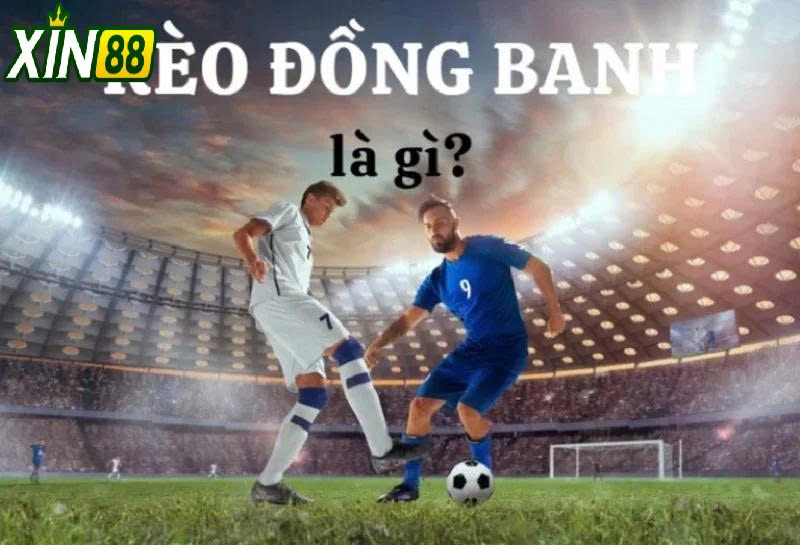 Lời Khuyên Cho Người Mới Khi Tham Gia Kèo Đồng Banh Xin88